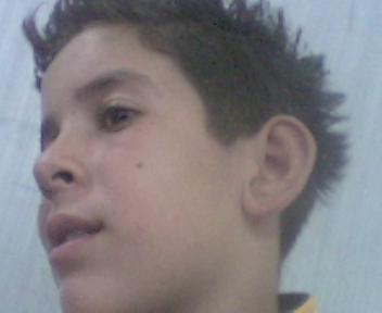 wlad bladi stil